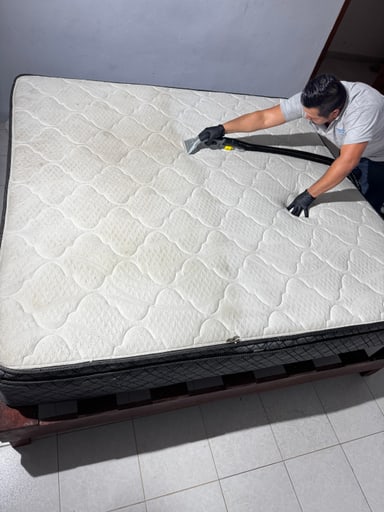 Upholstery Deep Cleaning