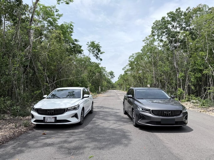 Vehicle Rental