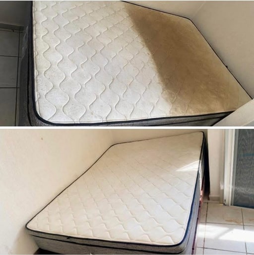 Cleaning And Sanitization